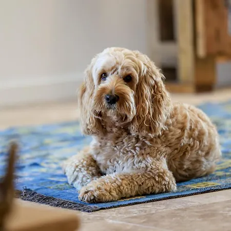 Дом отдыха Le Braye *